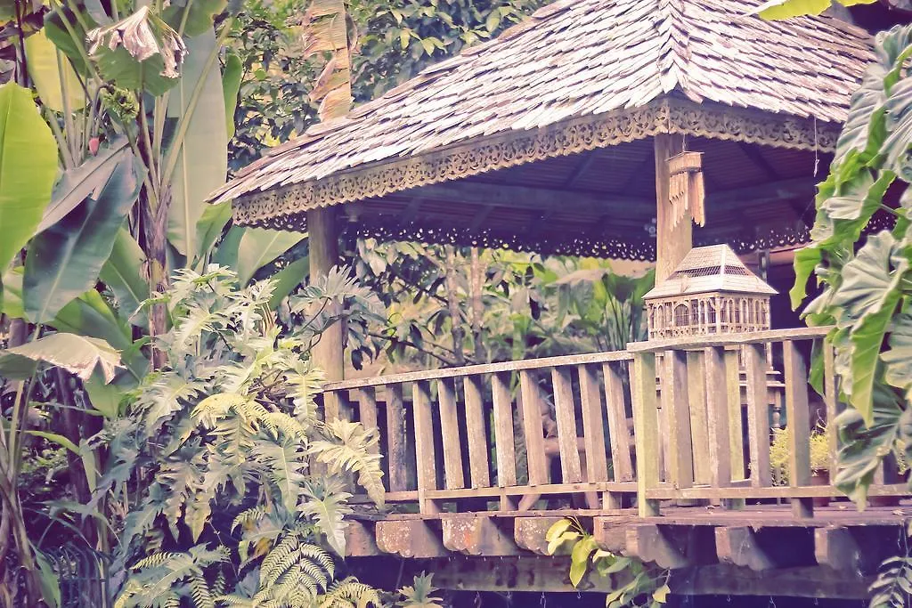 Fig Tree Hills Resort Bayan Lepas