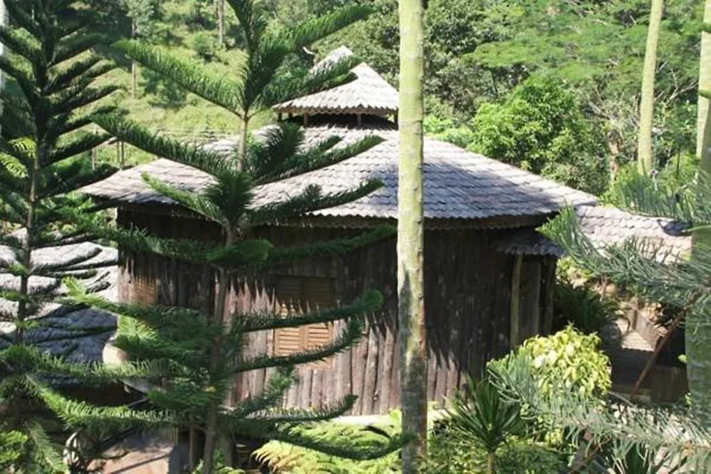 Fig Tree Hills Resort Bayan Lepas
